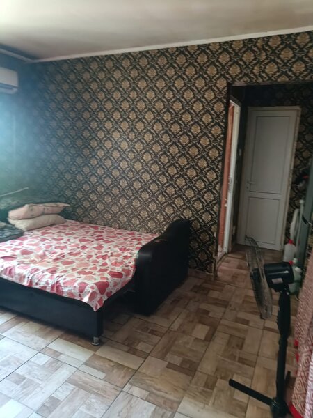 Livezilor, Vadul nou Profi