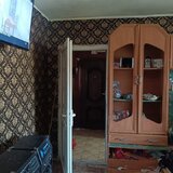 Livezilor, Vadul nou Profi